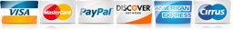 Visa Payment
